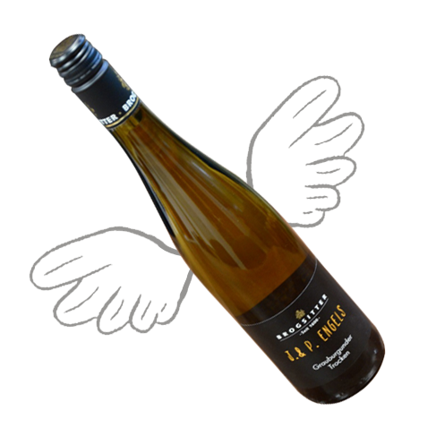J.& P. ENGELS – 2016 – GRAUBURGUNDER – TROCKEN J.& P. ENGELS – 2016 – GRAUBURGUNDER - TROCKEN